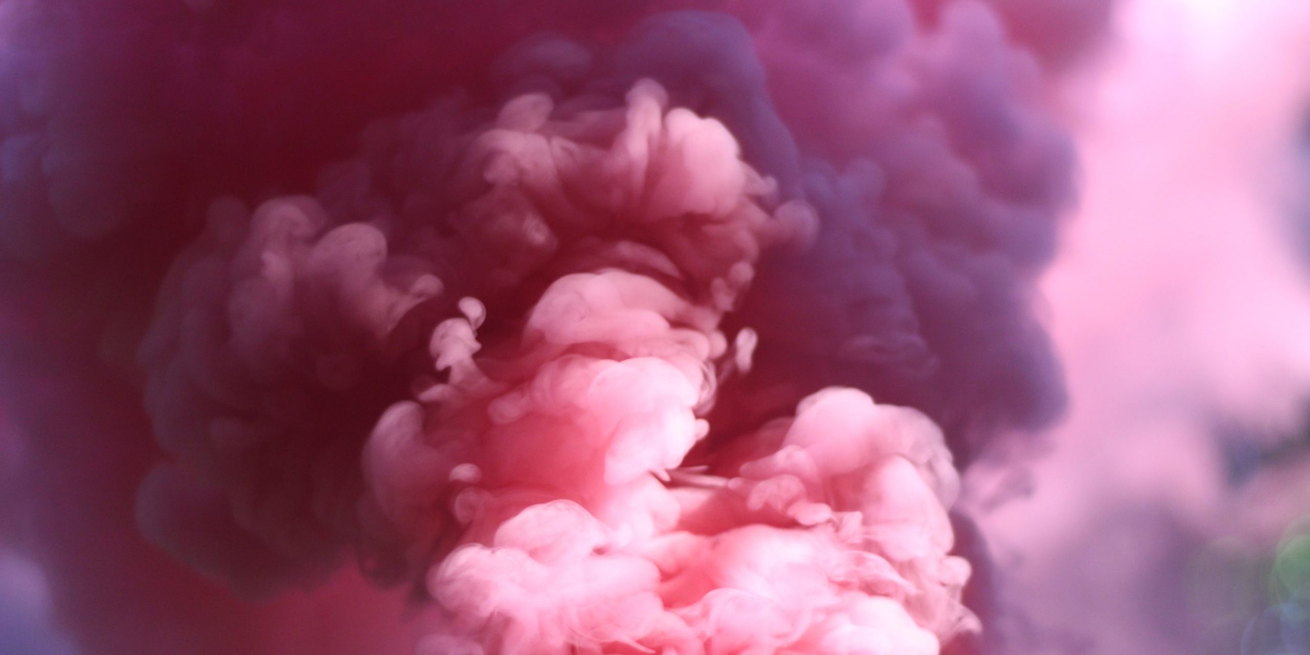 austin-chan-275640-unsplash