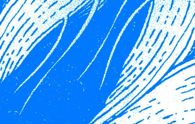 illustration_arnold_36t_2018