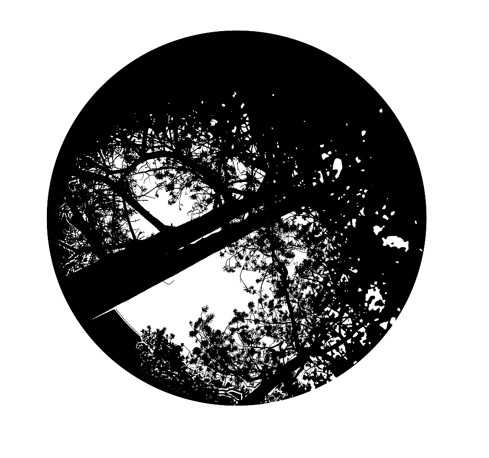 Illustration Arnold fuer DIE ZEIT SO STILL