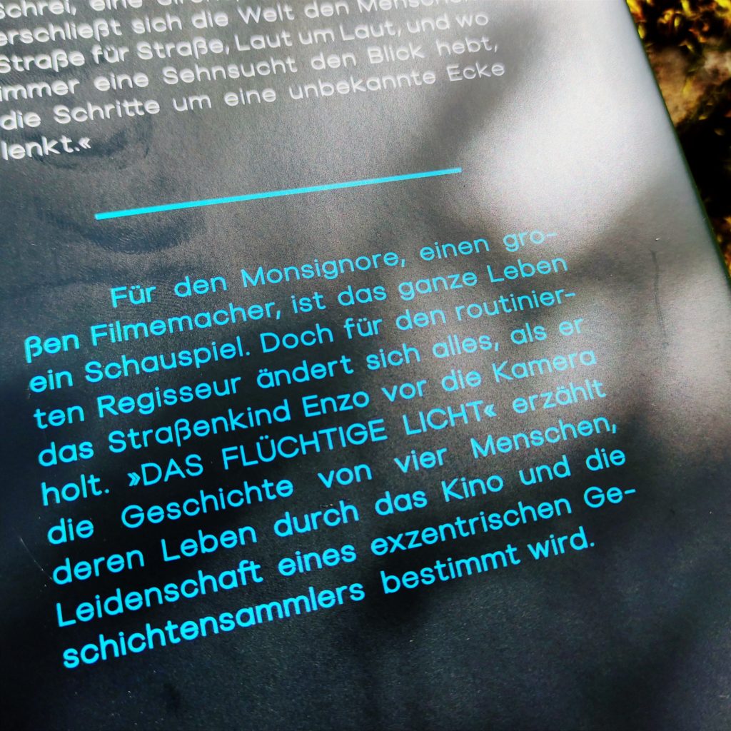 Rückseite Buch "Das flüchtige Licht"